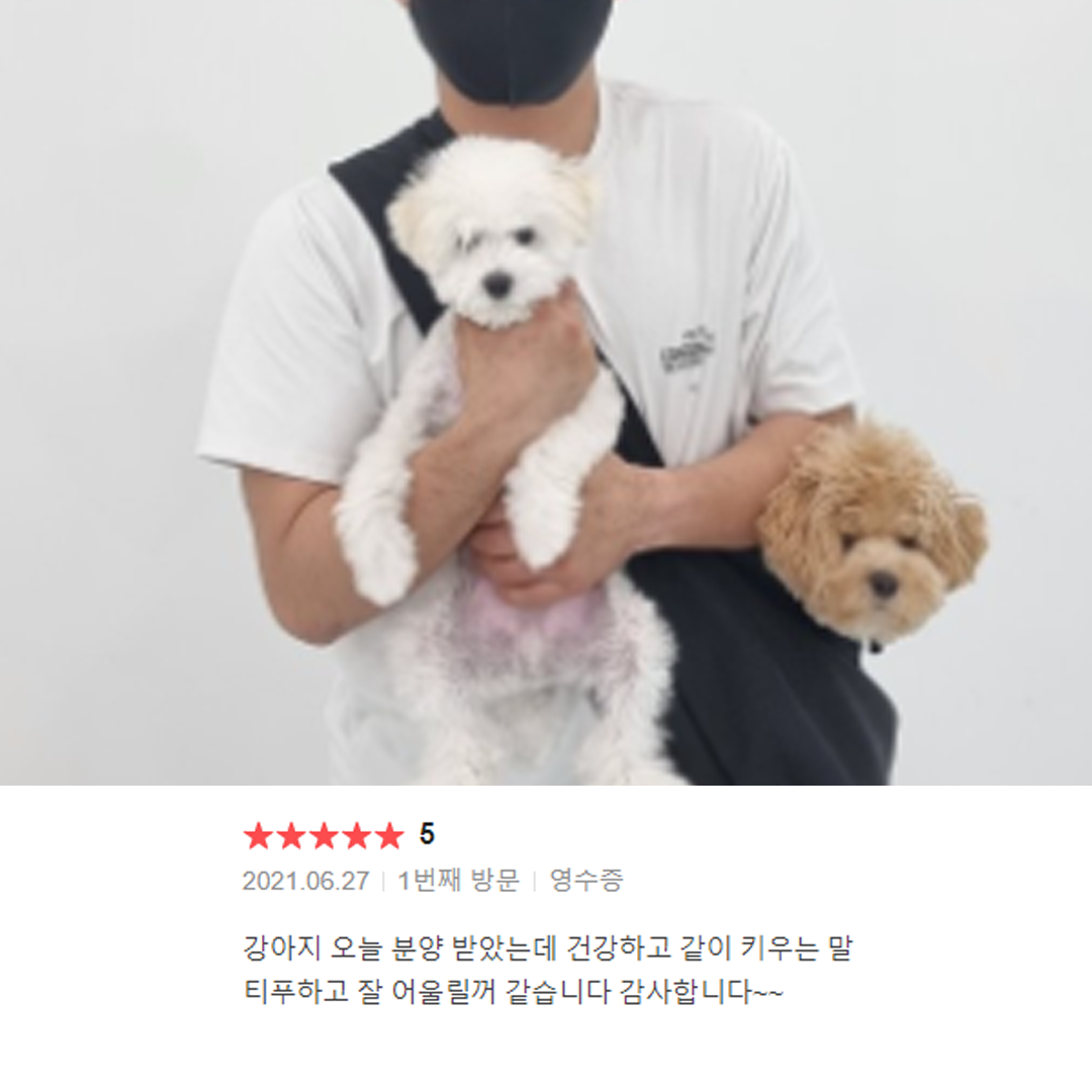 분양후기