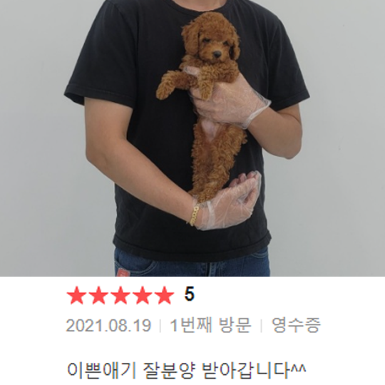 분양후기