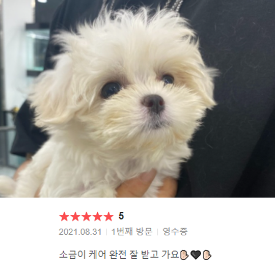 분양후기