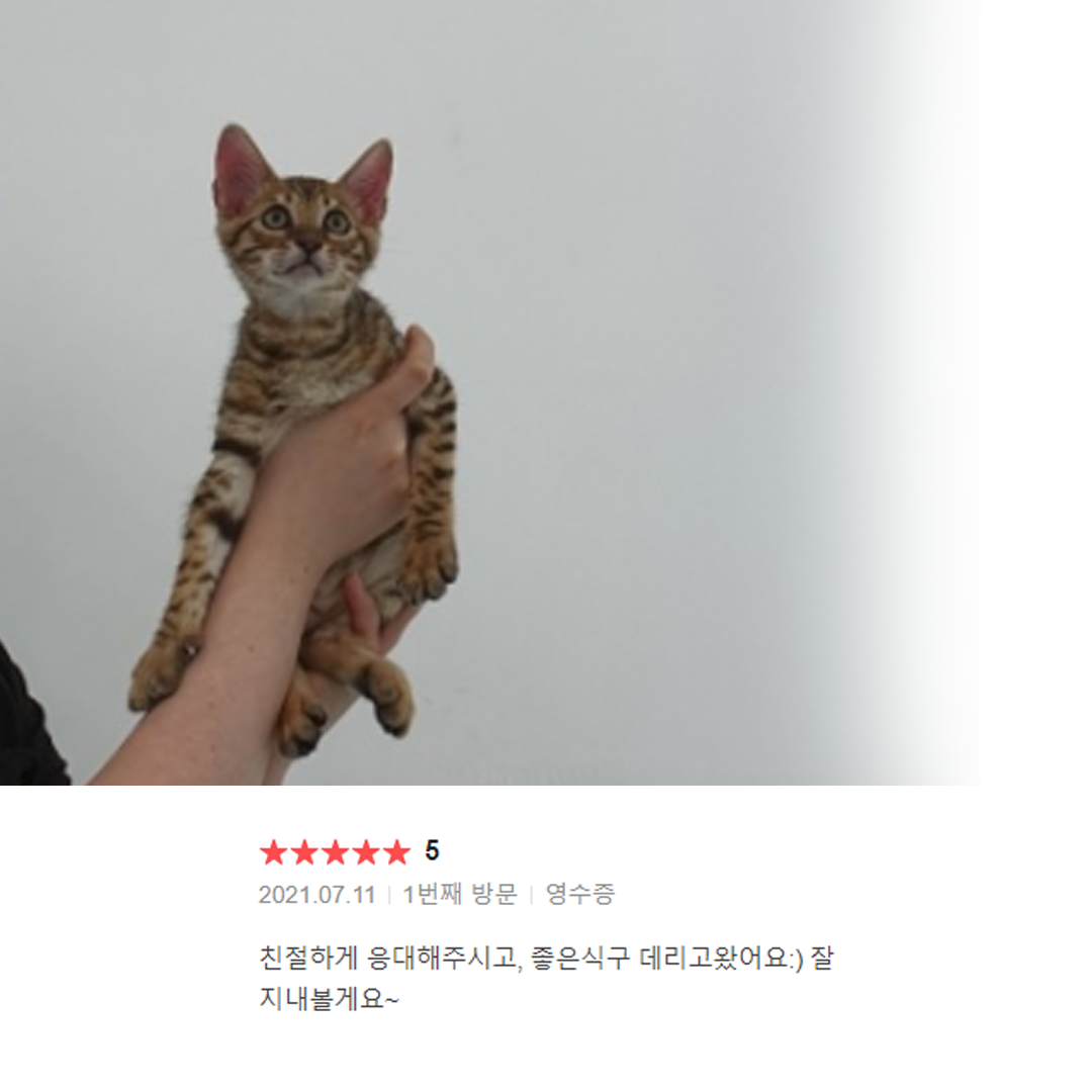 분양후기