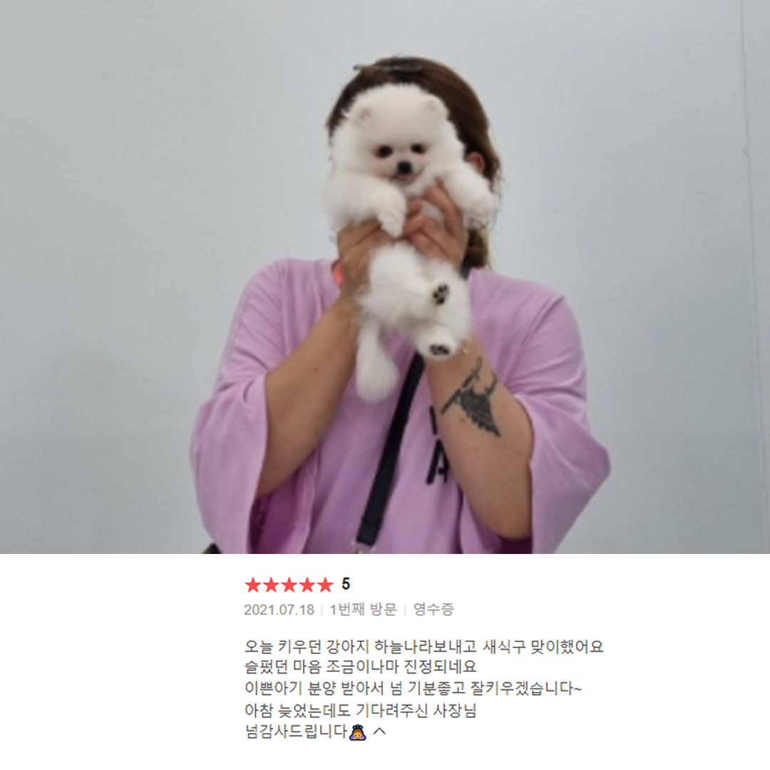 분양후기